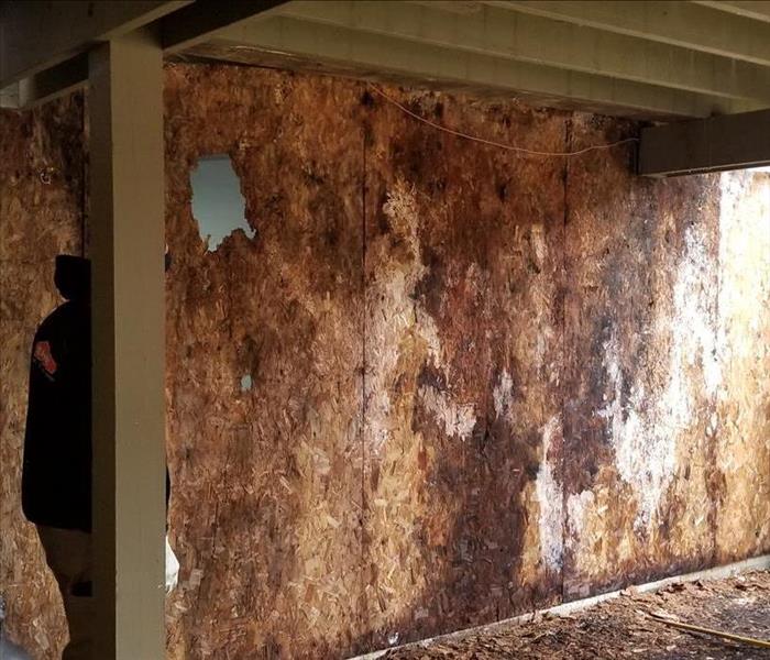 Mold and rotten sheathing on outside of house