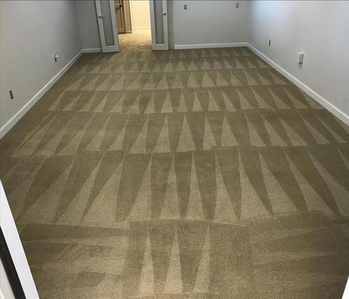 Clean carpet in lounge area