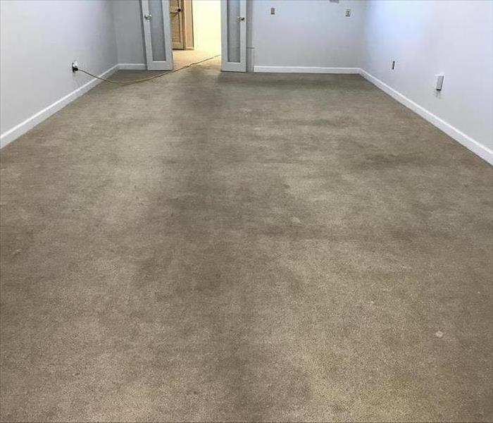 Dirty Carpet in lounge area
